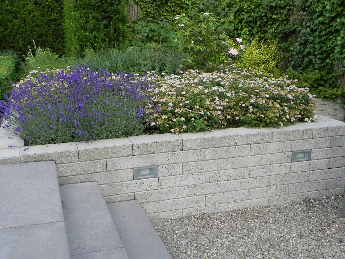 Lavendel- en spireaborder op een keermuur met inbouwverlichting
