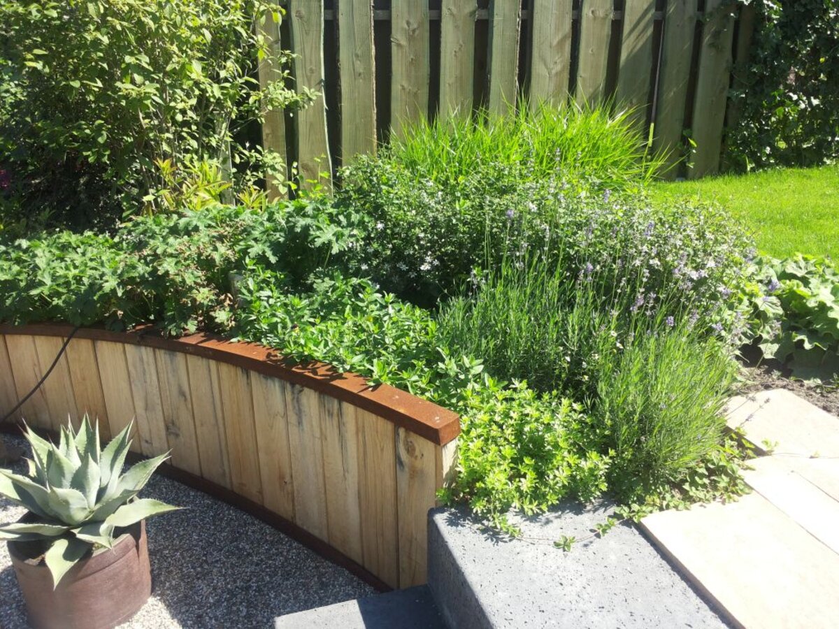 Onderhouden tuinhoek met gebogen eiken keerwand, lavendel en agave in pot